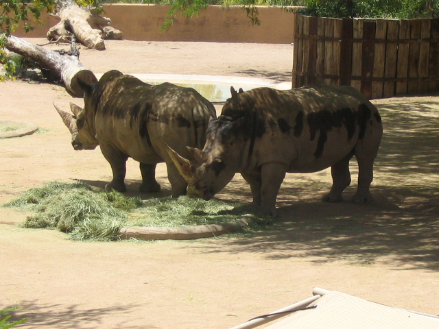 618x457 pixels (191K)